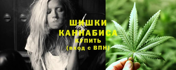 шишки Кинешма