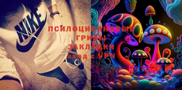 шишки Кинешма