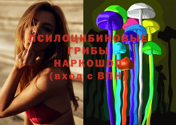 шишки Кинешма