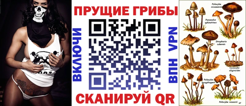 Псилоцибиновые грибы MAGIC MUSHROOMS  Купить где  Ярцево 